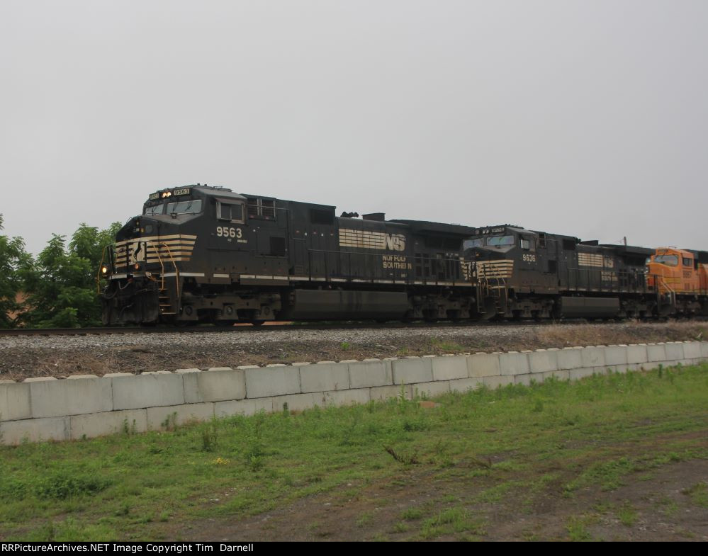 NS 9563 leads 310